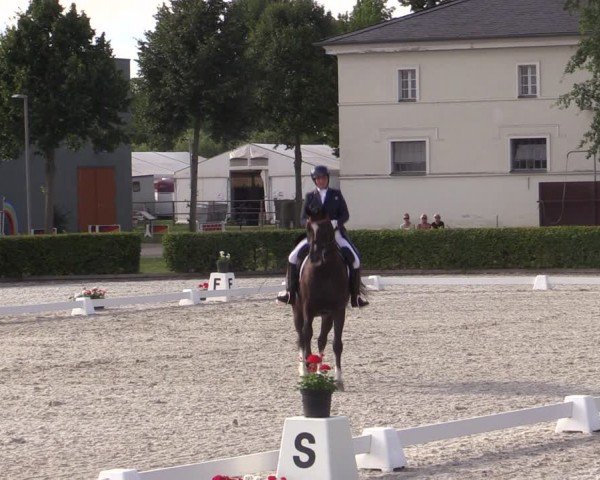 Reitturnier Neustadt/Dosse 2024