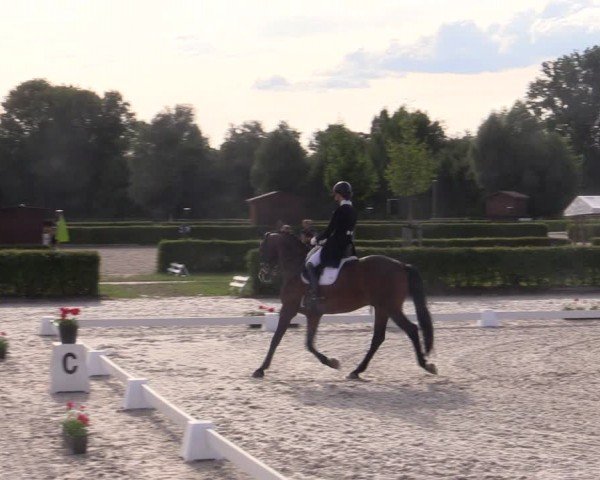 Reitturnier Neustadt/Dosse 2024
