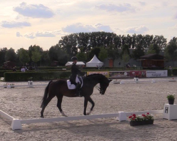 Reitturnier Neustadt/Dosse 2024