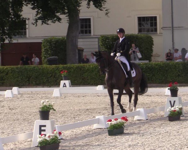 Reitturnier Neustadt/Dosse 2024