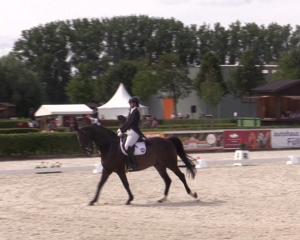Reitturnier Neustadt/Dosse 2024
