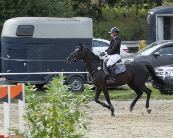 Reitturnier Heiligenwald 2024