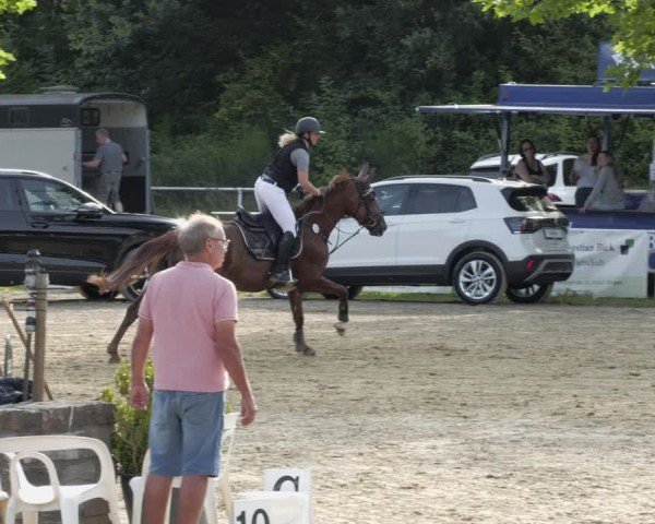 Reitturnier Heiligenwald 2024