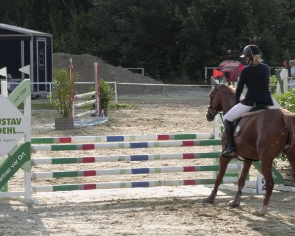 Reitturnier Heiligenwald 2024