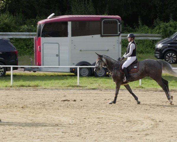 Reitturnier Heiligenwald 2024