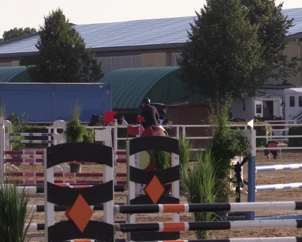 Reitturnier Neustadt/Dosse 2024