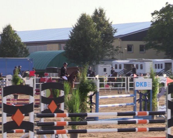 Reitturnier Neustadt/Dosse 2024