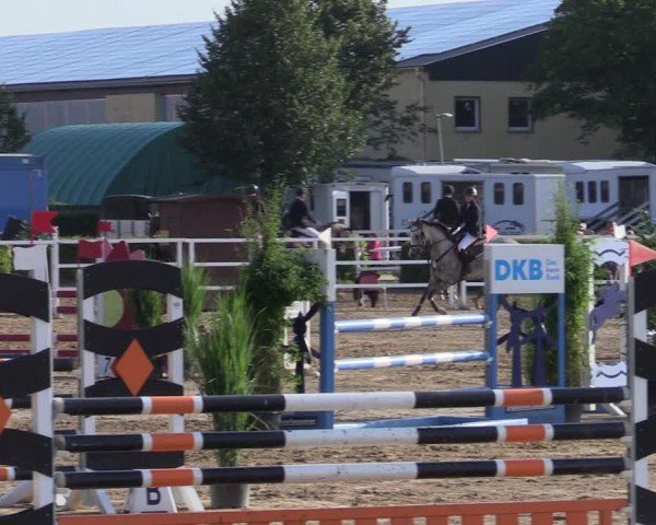 Reitturnier Neustadt/Dosse 2024