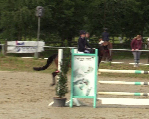 Reitturnier Herbern 2024