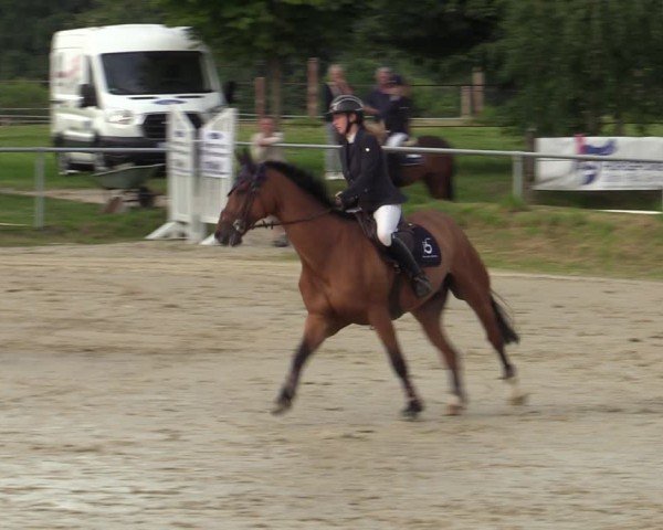 Reitturnier Herbern 2024