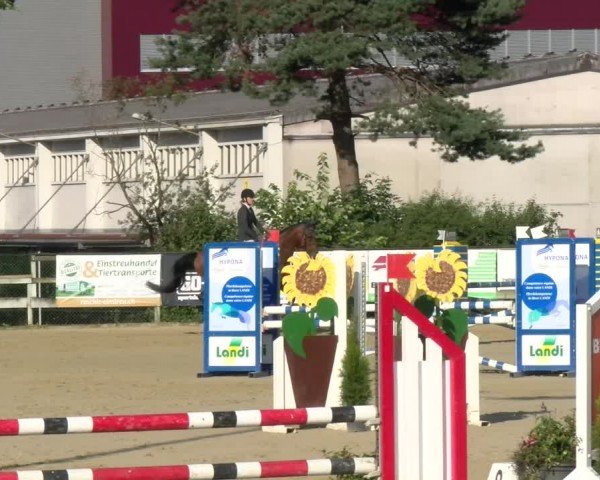 Reitturnier Dagmersellen 2024