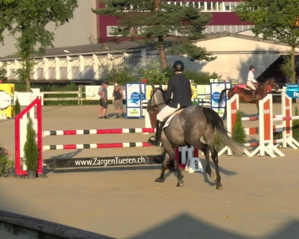 Reitturnier Dagmersellen 2024