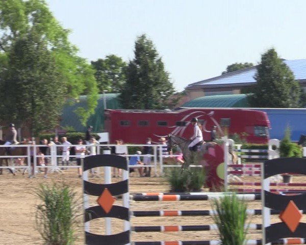 Reitturnier Neustadt/Dosse 2024
