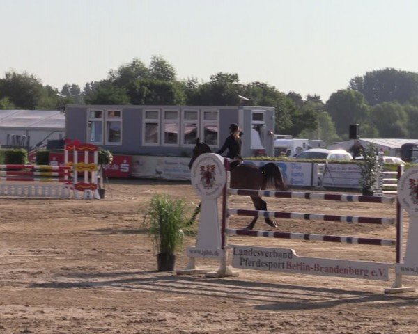 Reitturnier Neustadt/Dosse 2024
