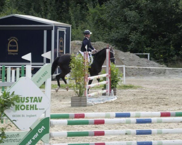 Reitturnier Heiligenwald 2024