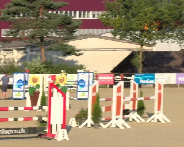 Reitturnier Dagmersellen 2024