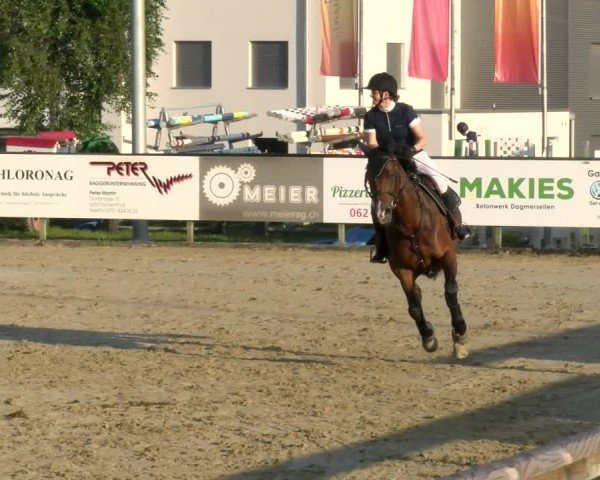 Reitturnier Dagmersellen 2024