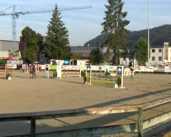 Reitturnier Dagmersellen 2024