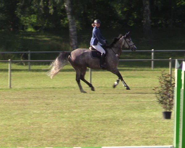 Reitturnier Gardelegen 2024