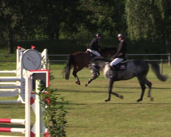 Reitturnier Gardelegen 2024
