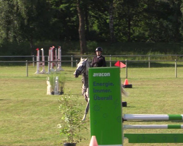 Reitturnier Gardelegen 2024