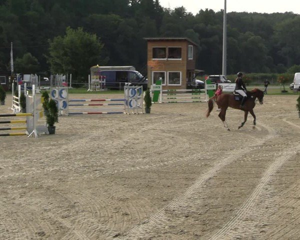 Reitturnier Bad Liebenstein/Sorga 2024