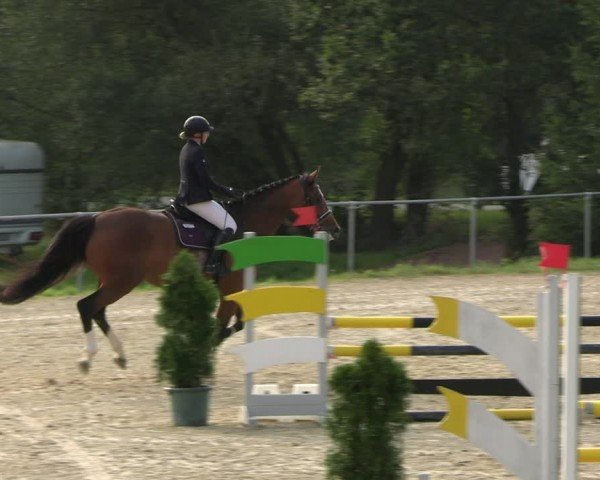 Reitturnier Bad Liebenstein/Sorga 2024
