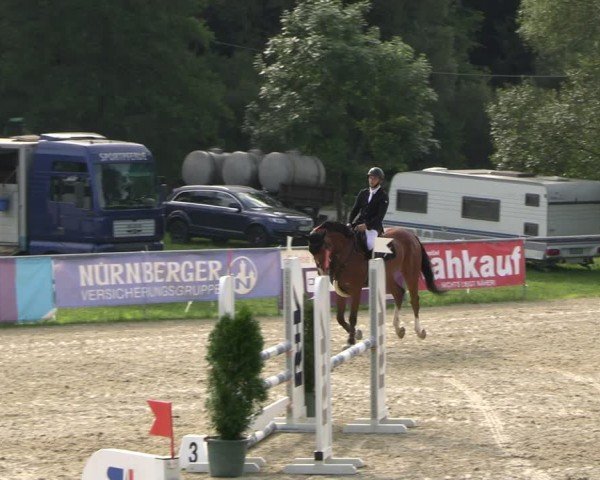 Reitturnier Bad Liebenstein/Sorga 2024
