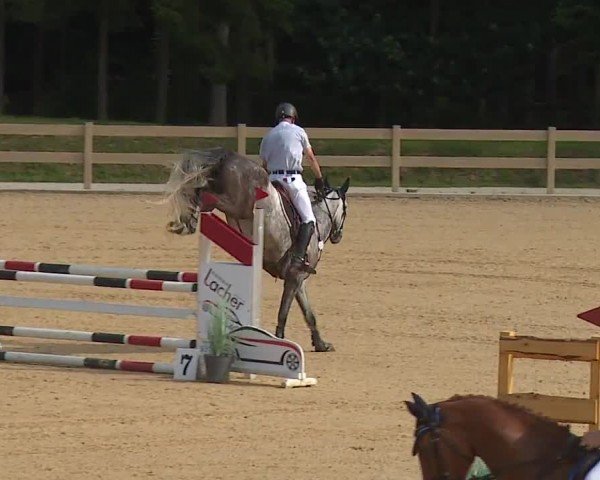 Reitturnier Tiefenhof/Opf. 2024