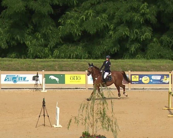 Reitturnier Tiefenhof/Opf. 2024