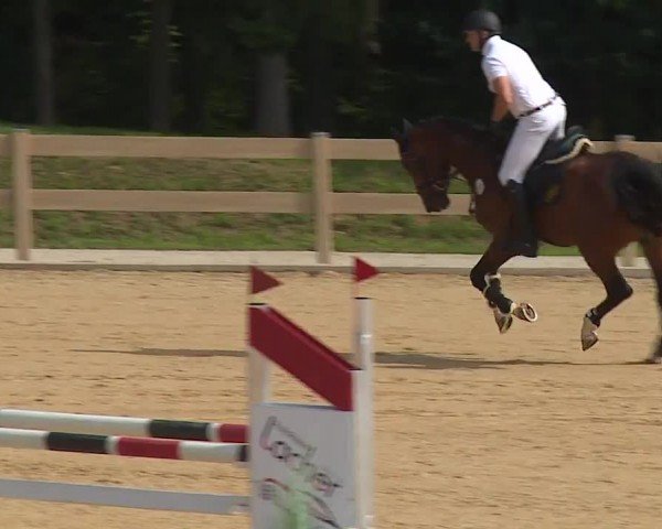 Reitturnier Tiefenhof/Opf. 2024