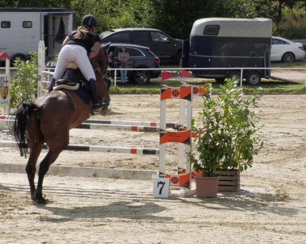 Reitturnier Heiligenwald 2024