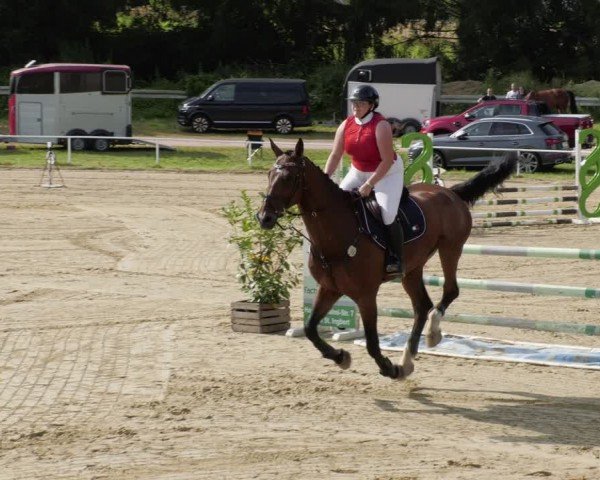 Reitturnier Heiligenwald 2024