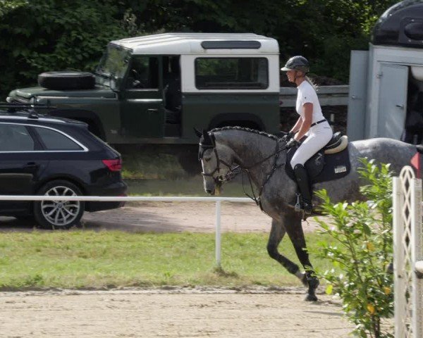 Reitturnier Heiligenwald 2024