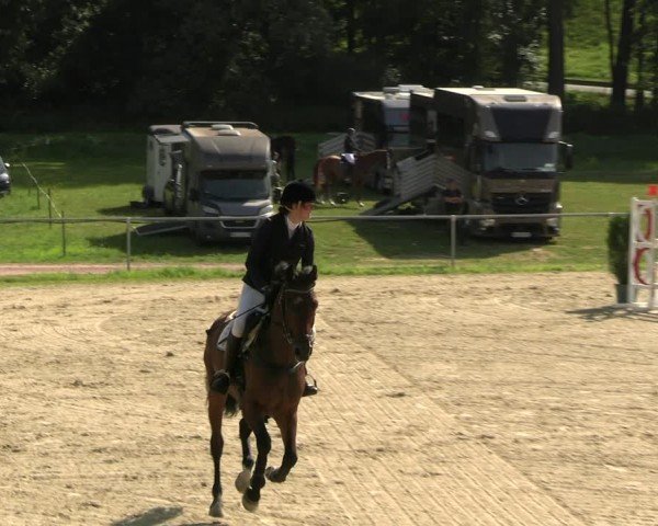 Reitturnier Bad Liebenstein/Sorga 2024