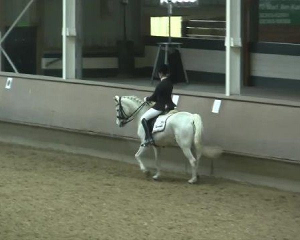 Hallen-Reit- und Springturnier 2013 beim RV Alt Marl