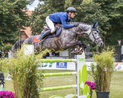 jumper Psb Licia (German Sport Horse, 2017, from Landrebell)