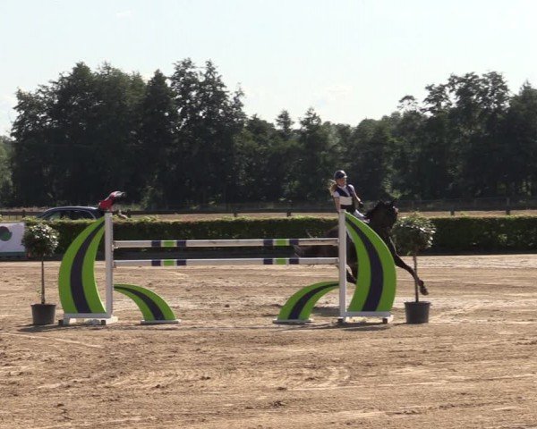 Reitturnier Neustadt/Dosse 2024