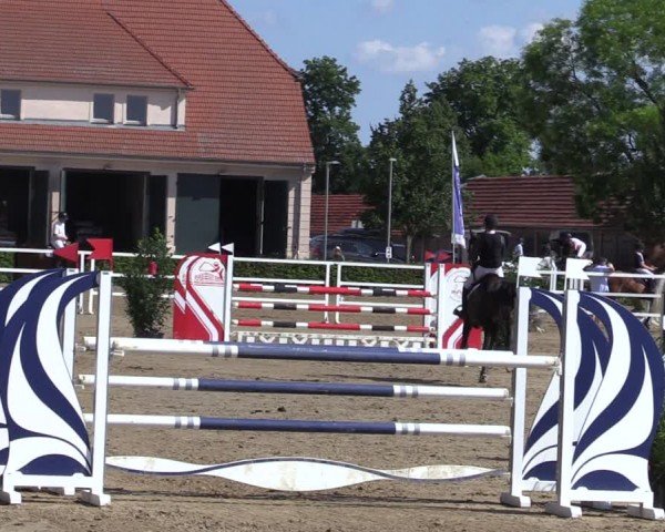 Reitturnier Neustadt/Dosse 2024