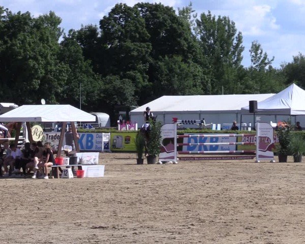 Reitturnier Neustadt/Dosse 2024
