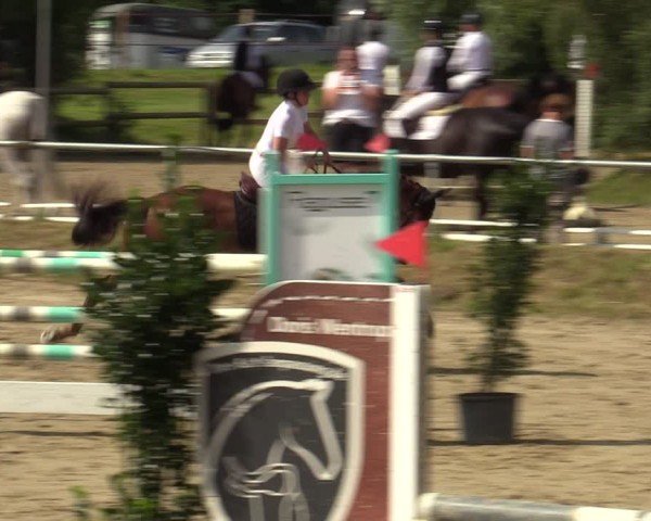 Reitturnier Herbern 2024