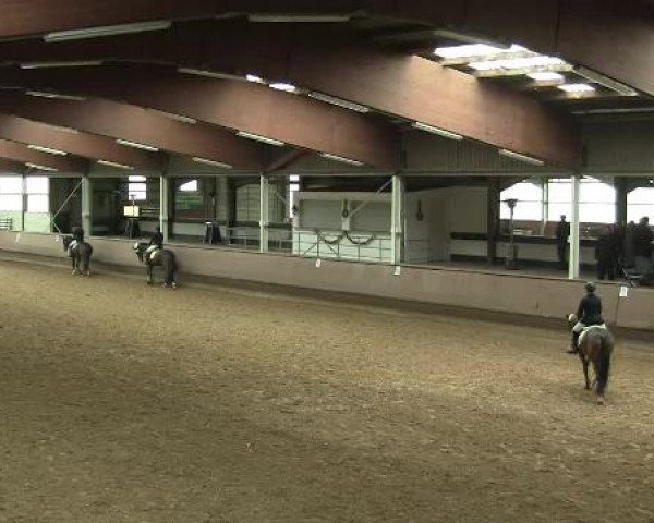Hallen-Reit- und Springturnier 2013 beim RV Alt Marl