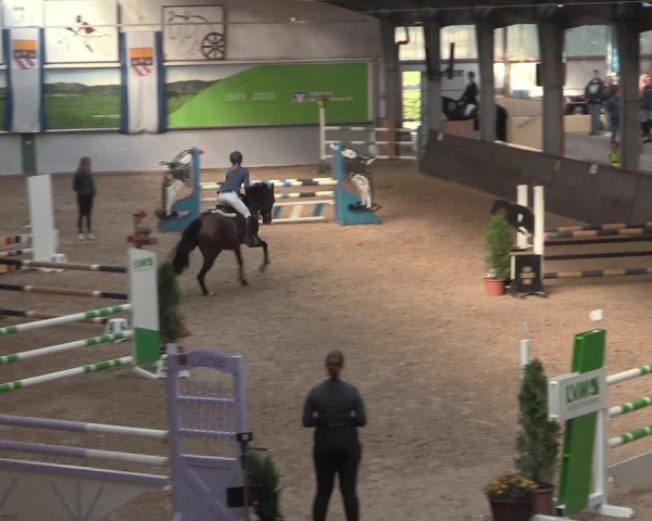Reitturnier Legden 2021