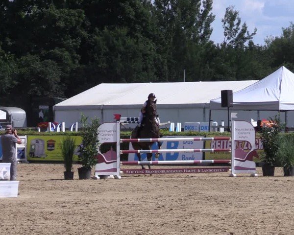 Reitturnier Neustadt/Dosse 2024