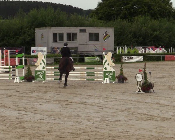 Reitturnier Weiswampach  2024