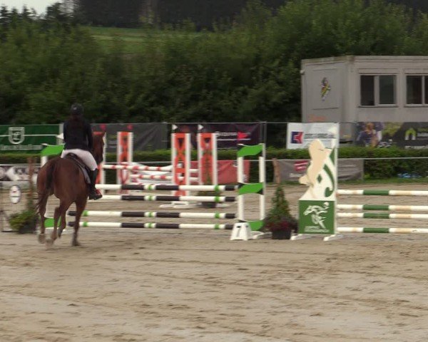 Reitturnier Weiswampach  2024