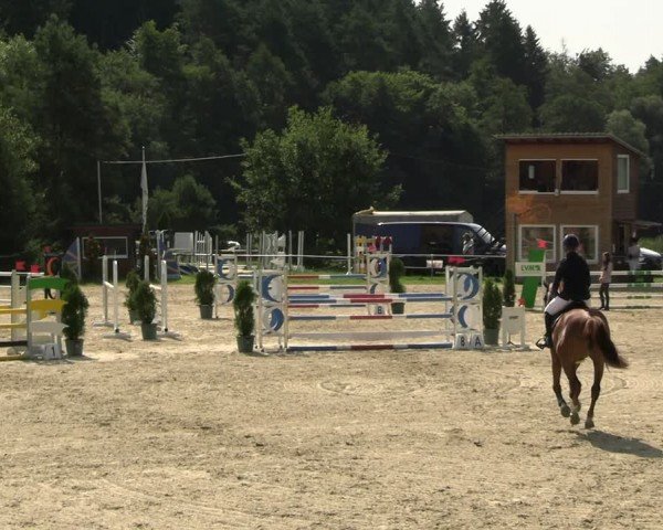 Reitturnier Bad Liebenstein/Sorga 2024