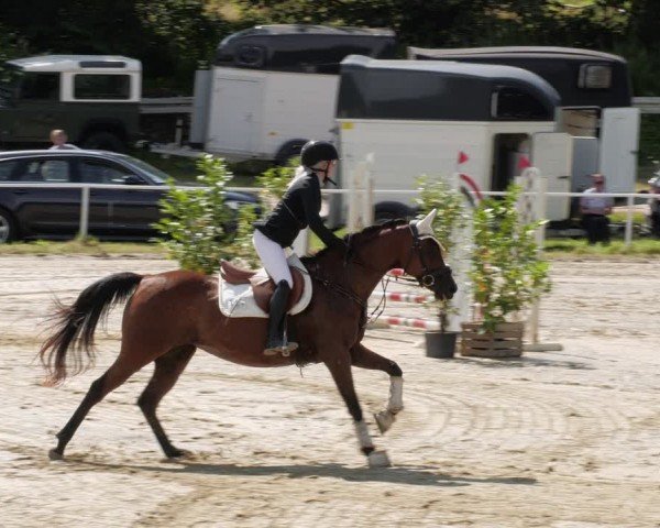 Reitturnier Heiligenwald 2024