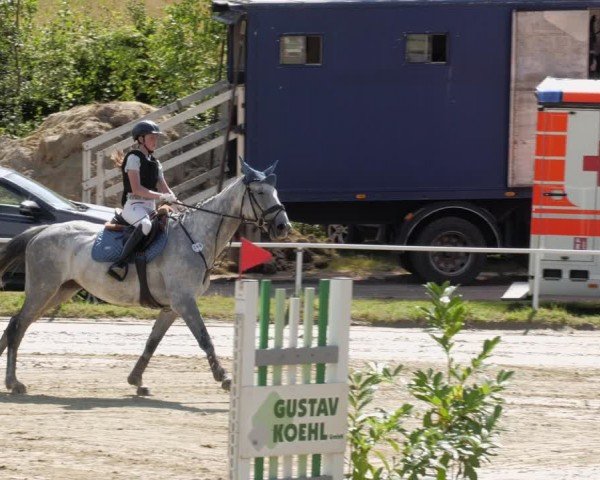 Reitturnier Heiligenwald 2024