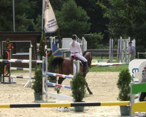 Reitturnier Bad Liebenstein/Sorga 2024